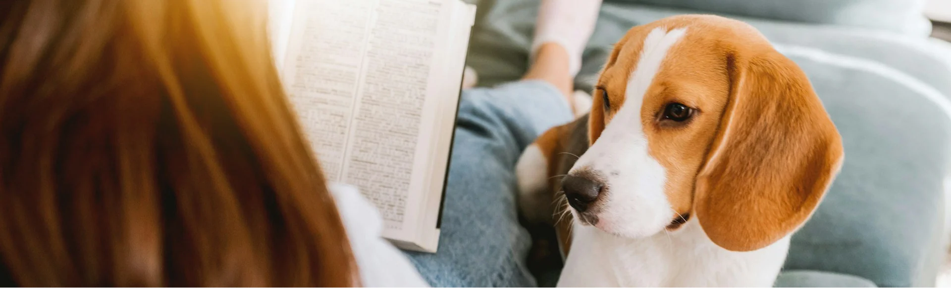 Gear for Your Best Friend